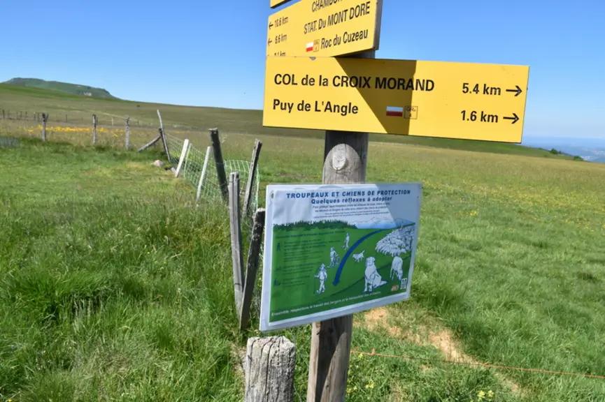 <em class="placeholder">Panneau de sensibilisation sur les chiens de protection</em>