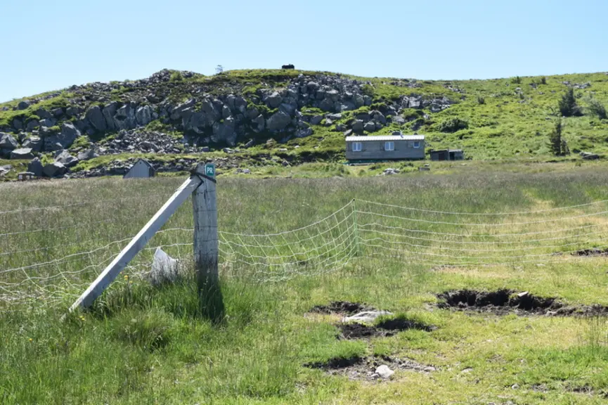 <em class="placeholder">Cabane de berger à l'arrière plan</em>