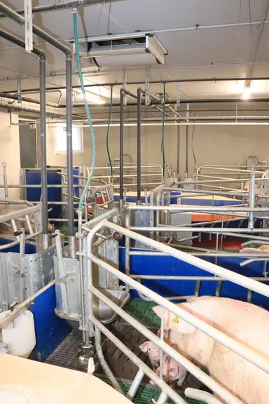 L’entrée de l’air dans les maternités et les post-sevrages se fait par des trappes autorégulées. Elles permettent une bonne diffusion et un bon mélang