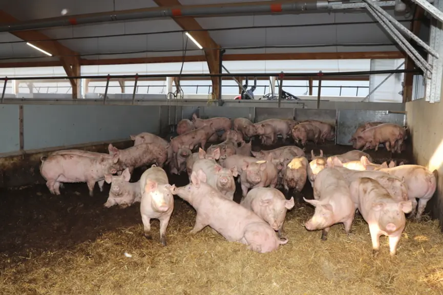 Le rapport du Sénat estime que la stratégie de montée en gamme "a servi de Cheval de Troie aux importations".