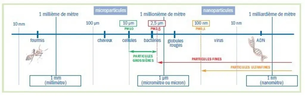 Les particules présentes dans l'air des porcheries ont une taille proche des bactéries et des globules rouges du sang. © Chambres d'agriculture d