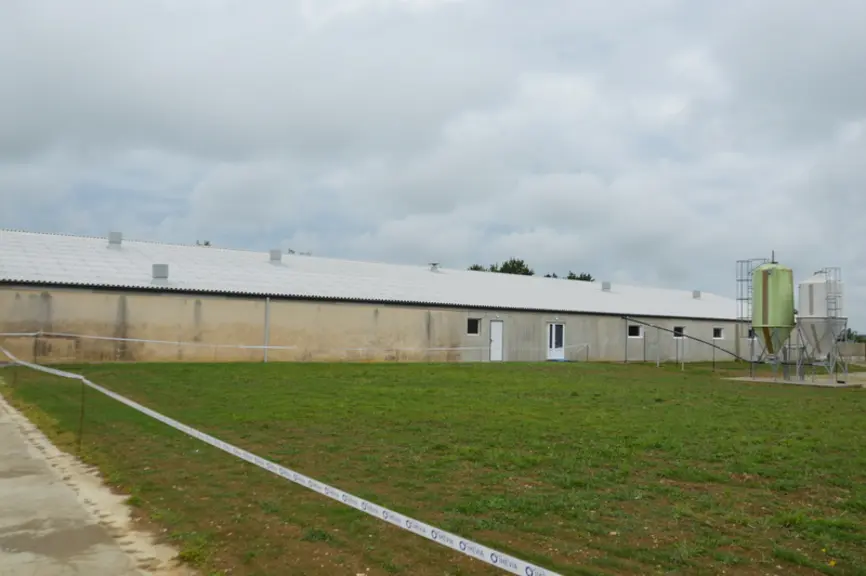 Le CIA du Châtelain est passé de 60 à 150 places. Il abrite les lignées Magnus et Maxter M3 d'Hypor. © C.Julien