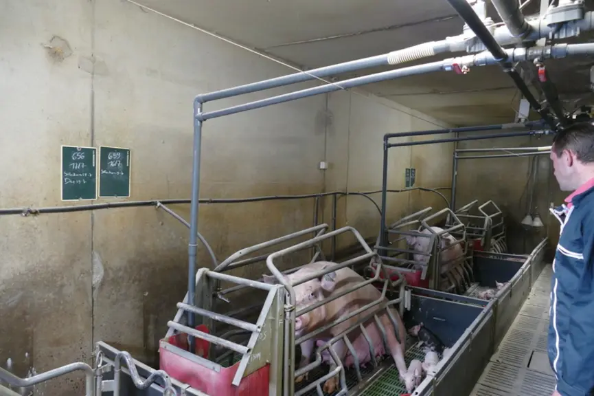 Le circuit d'eau en aval de la vanne est raccordé à la descente de soupe. © Chambre d'agriculture de ...
