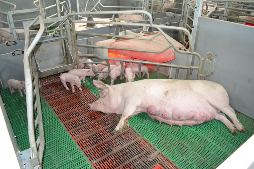 © Chambre d'agriculture de ...