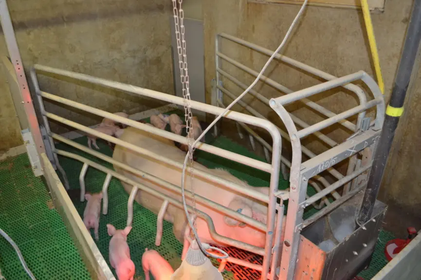 © Chambre d'agriculture de ...