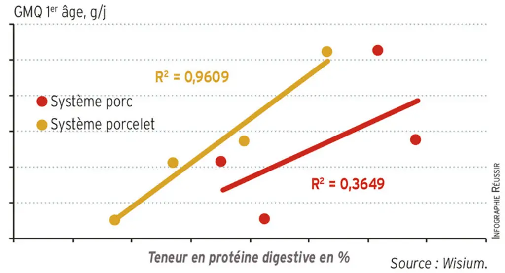 La teneur en protéine digestible des aliments formulés avec la matrice "porcelet" et mieux corrélée avec le GMQ que celle des aliments de la matrice "porc charcutier"GMQ des porcelets en fonction de la teneur en protéine digestible des aliments © Wisium