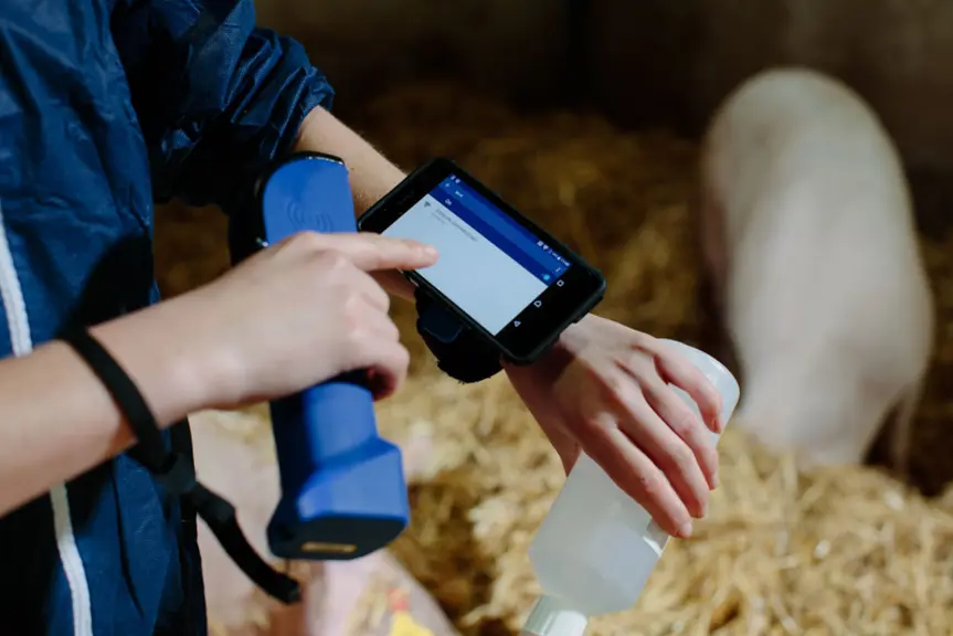 La sonde transmet directement les images au smartphone positionné sur le poignet de l’opérateur. Si besoin, elles peuvent être enregistrées. © IMV Ima