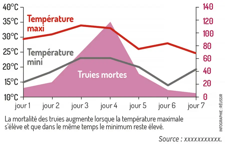 Evolution des mortalités durant une semaine estivaleLa mortalité des truies augmente lorsque la température maximale s’élève et que dans le même temps, le minimum reste élevé © Source : Etude canadienne sur ...