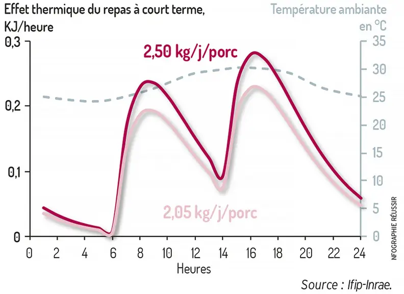 Production de chaleur à court terme après le repas selon la ration allouée.Une ration réduite diminue l'effet thermique © Ifip-Inrae