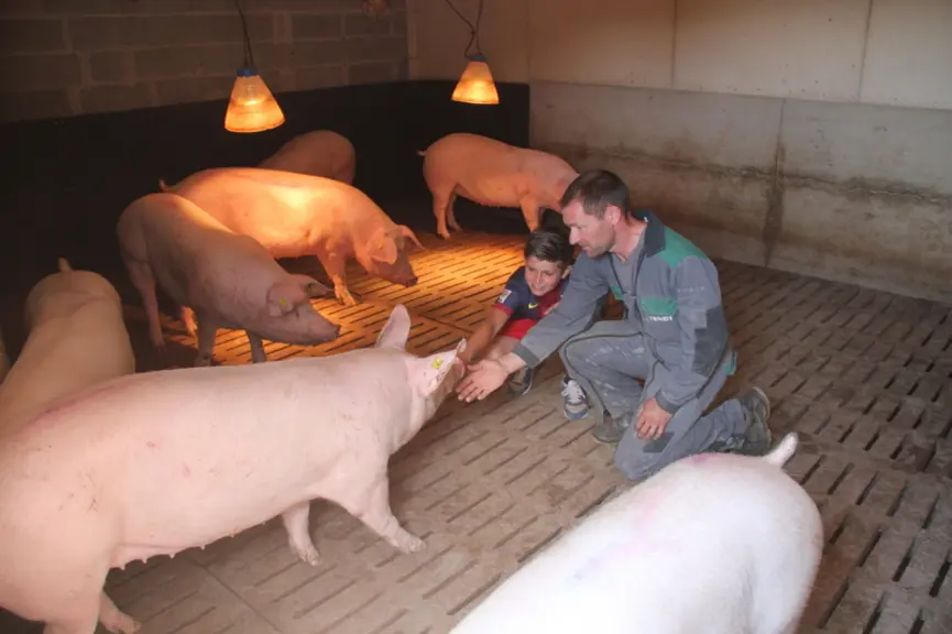 L'attitude de l'éleveur joue un rôle important dans la mise en confiance des animaux. © D. Poilvet