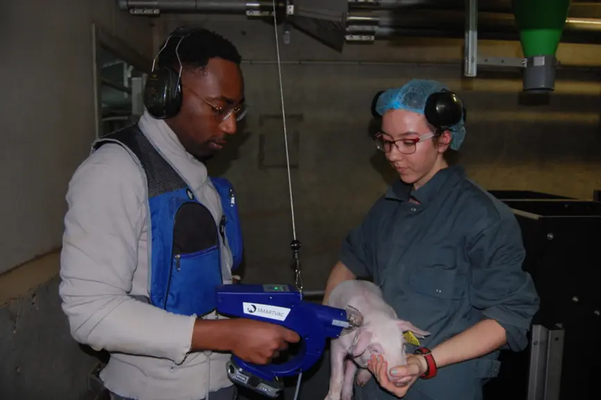 L'opérateur peut utiliser un enrouleur-équilibreur pour porter l'appareil de vaccination. © Ifip