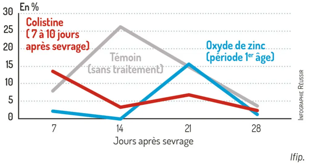 Pourcentage de porcs avec diarrhées selon les traitements.Très peu de diarrhée 7 et 14 jours après sevrage avec l’oxyde de zinc puis augmentation à 21