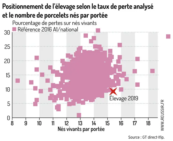 Positionnement de l'élevage selon le taux de perte analysé et le nombre de porcelets nés par portée © GT Direct-Ifip