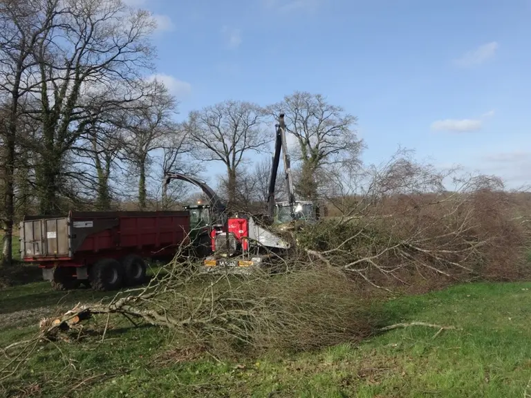 L’abattage des arbres réalisé par une entreprise coûte 120 euros de l’heure. Il faut compter 450 euros par heure pour le broyage. © L. Somer