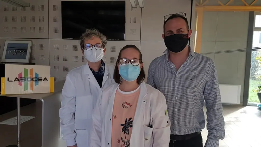 L’étude sur les génotypes de PCV2 conduite à Labocea-Ploufragan par Marie-Agnès Baudouard et la Dre Silvia Turci, en collaboration avec le Dr Frédéric