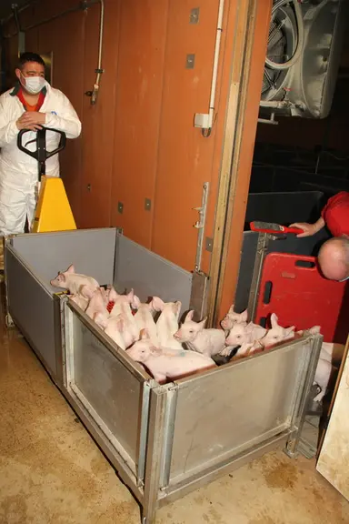 L’Eazyvac est installé en position basse dans le couloir extérieur devant la porte d’accès à la salle de post-sevrage. La porte métallique de 65 cm de