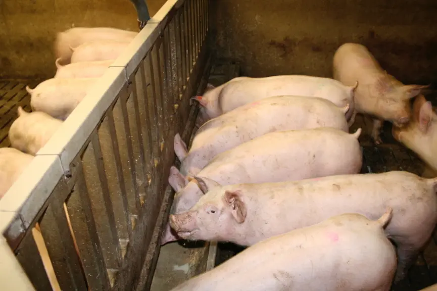 L'alimentation multiphase est difficile à mettre en oeuvre avec des systèmes de distribution de soupe à eau poussante ou avec recyclage, majoritaires