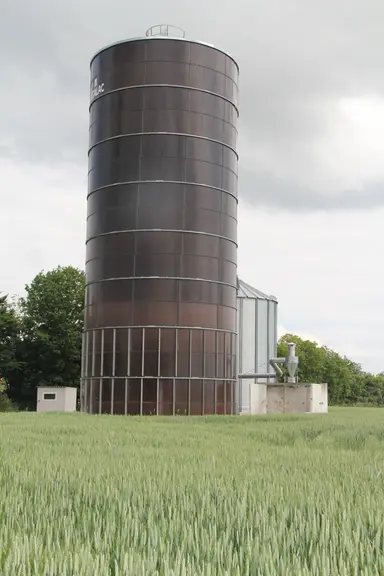 Les céréales produites sur la ferme (maïs et blé) sont valorisées dans l’alimentation des cochons, mélangées à un complémentaire. L’autonomie alimenta