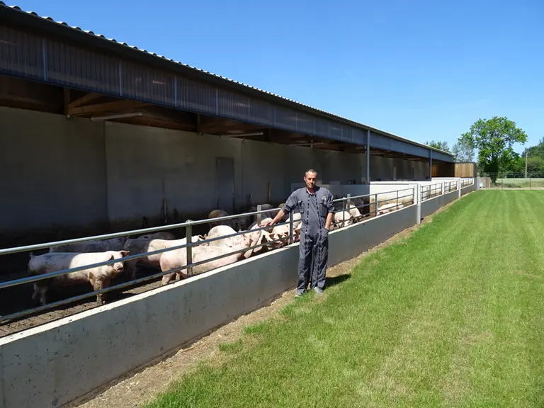 Sylvain Serandour. «L’été, en début de soirée, les cochons sont nombreux à venir profiter de la fraîcheur de la courette.»