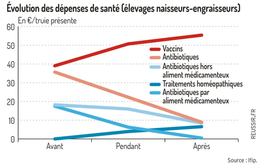 La démédication, une prise de risque payante en élevage de porcs