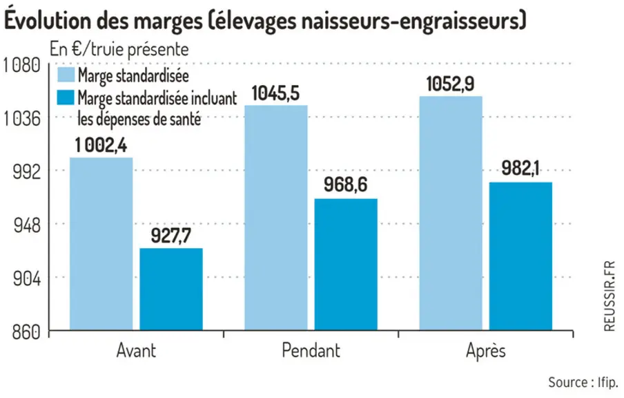 La démédication, une prise de risque payante en élevage de porcs