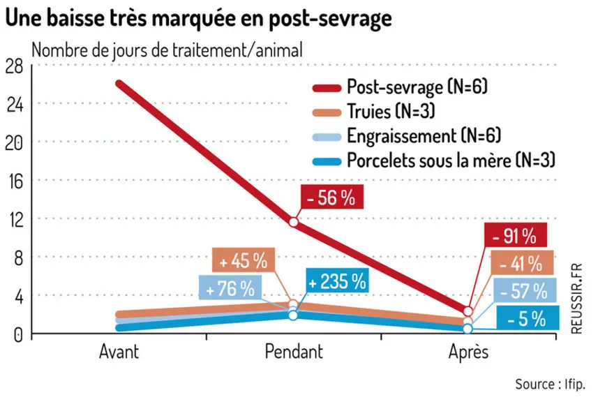 La démédication, une prise de risque payante en élevage de porcs