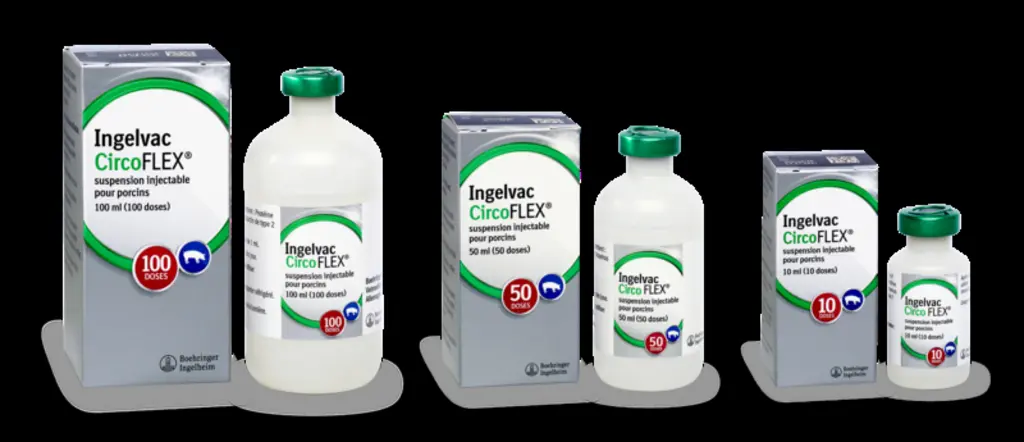 Boehringer Ingelheim associe les vaccins porc Circoflex et le PRRSflex EU