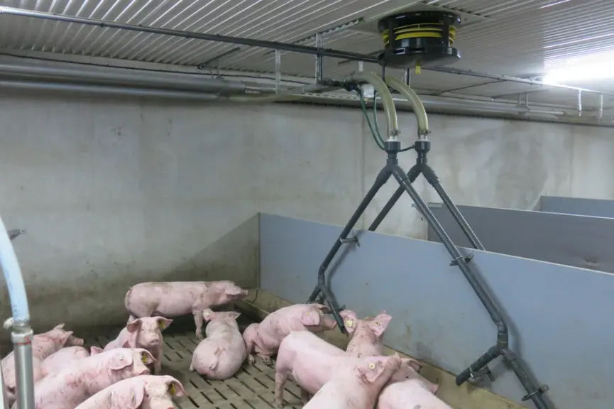 La station expérimentale de l'Ifip a installé quatre modules Flud'R dans une salle d'engraissement de 96 places.