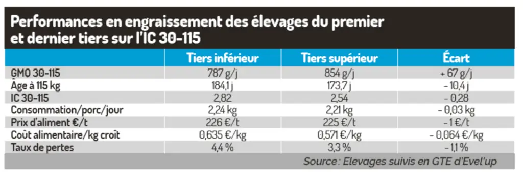 Les pratiques gagnantes des éleveurs de porc pour améliorer l’indice en engraissement