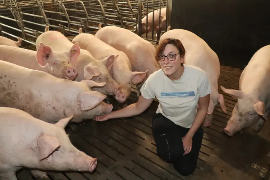 Céline Courades apporte une attention particulière à l’apprivoisement des cochettes. Elle leur distribue notamment du sirop de grenadine dilué dans de