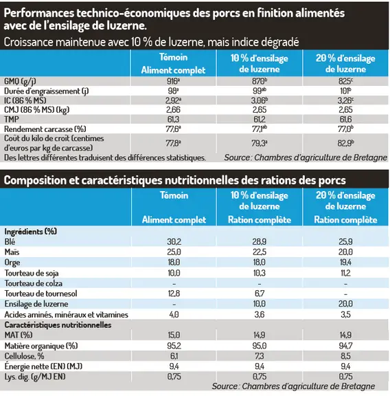Des performances mitigées en engraissement avec l’ensilage de luzerne