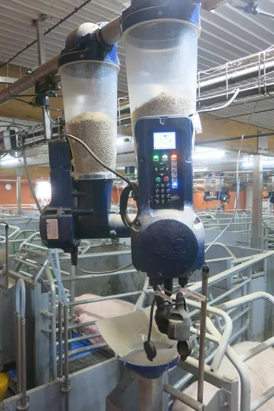 L’automate Gestal avec les deux trémies et l’interface de pilotage de l’aliment et du chauffage.