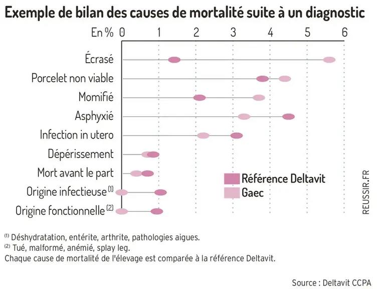 Bien identifier les causes de mortinatalité des porcelets