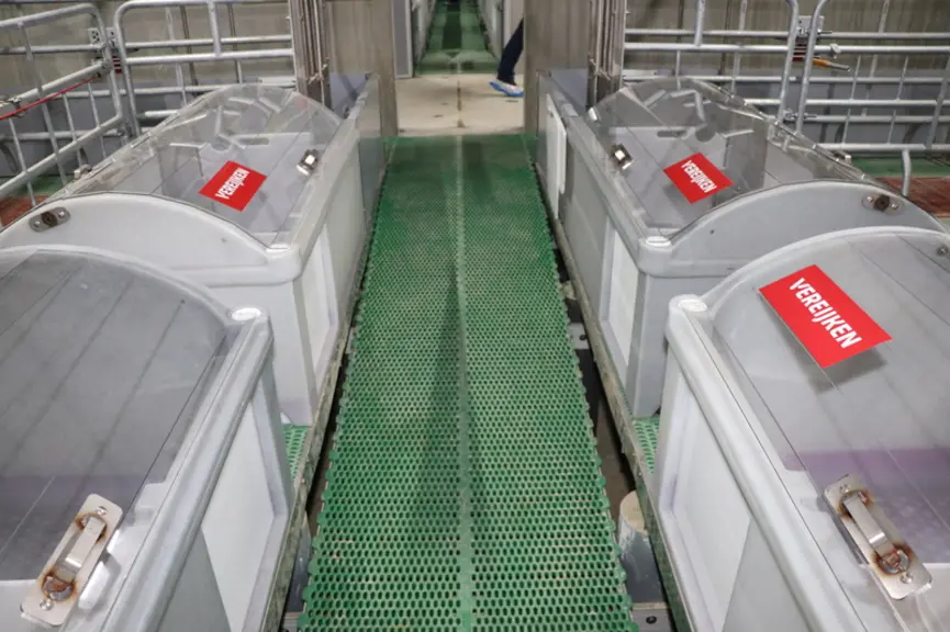 La facade des cases est accessible par un couloir surbaissé, permettant l’accès aux porcelets dans les nids sans se baisser.