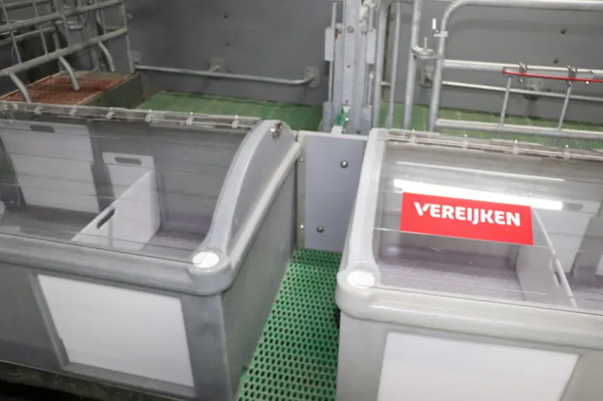 Un petit couloir donne accès à l’auge sans avoir à entrer dans l’espace occupé par la truie.