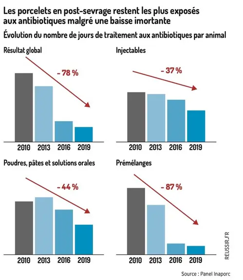 Forte baisse de l’usage d’antibiotiques en dix ans dans les élevages de porcs