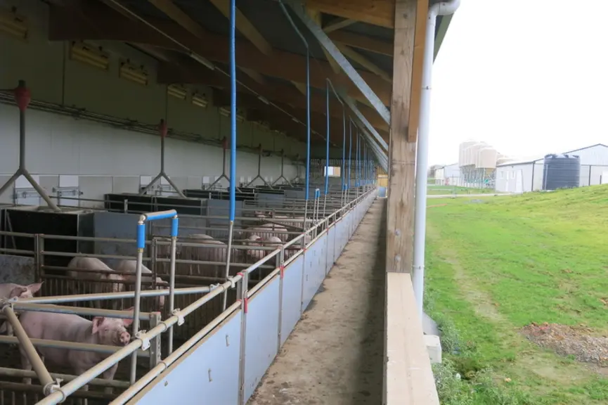 Avec un bâtiment semi-ouvert, le bien-être animal est considéré comme amélioré mais la réduction des émissions de gaz à effet de serre est plus délica