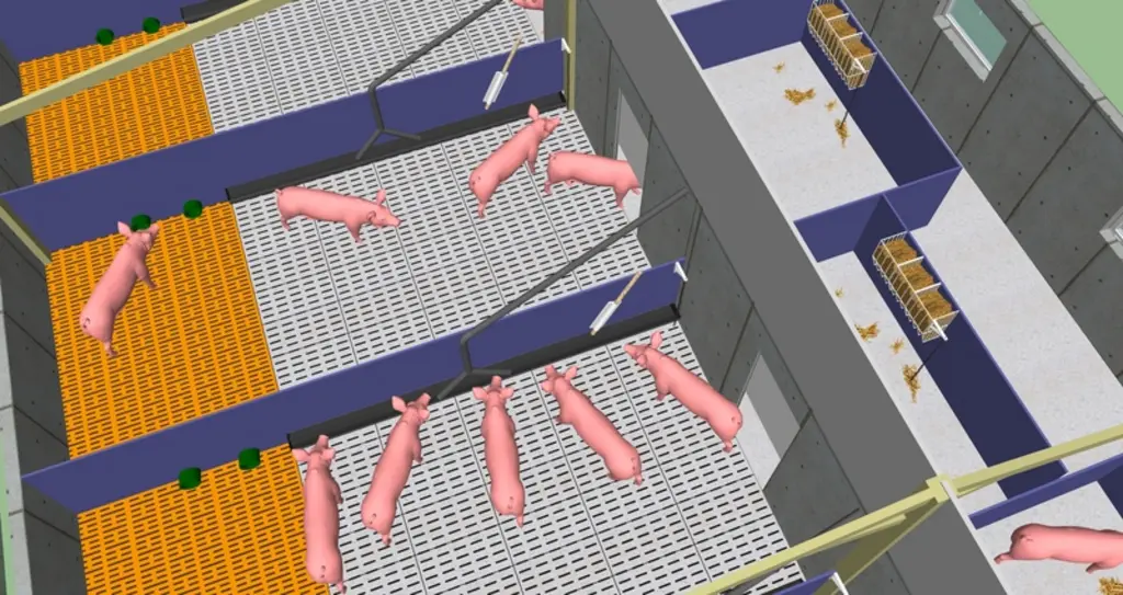 1re solution : le porc dispose de 1 m² de courette. La surface intérieure est modulable avec un maximum à 0,5 m² par porc (de la gauche vers la droite