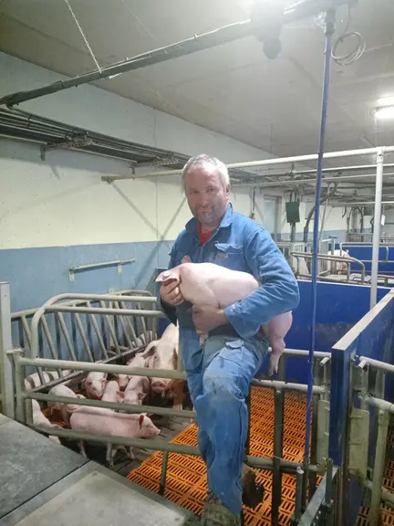 Johannes Scharl. Il sèvre 28 porcelets/truie/an en moyenne et vise les 30.
