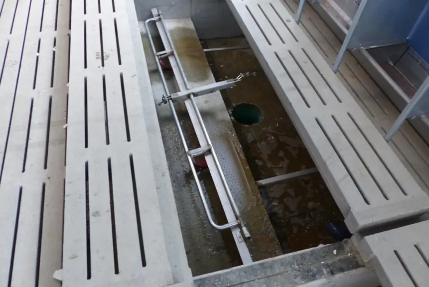 La paille mise à disposition des animaux justifie l’installation sous le caillebotis d’un racleur qui facilite son évacuation.