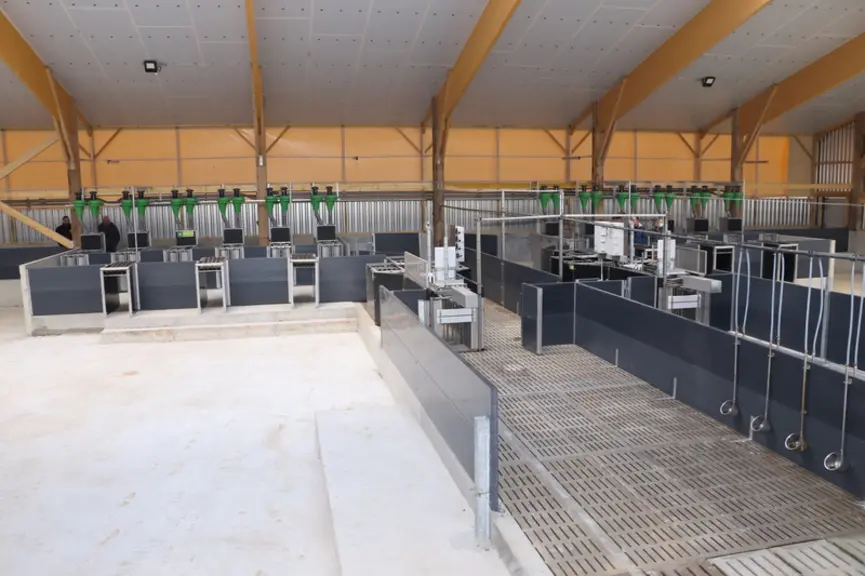 Le bâtiment d'engraissement bio est composé de six cases de 200 places. Un espace comprenant six selfifeeder GFI est dédié  à l'alimentation individue