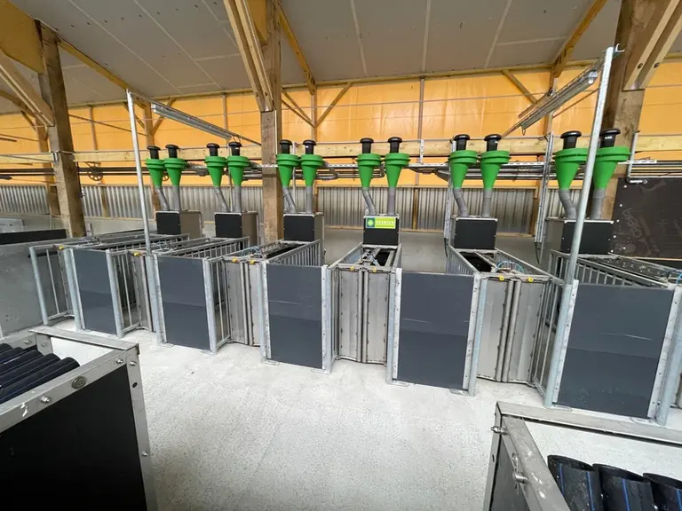 2)Six alimentateurs disposés dans l’aire d’alimentation permettent une distribution de l’aliment individualisée. Les puces RFID fixées à l’oreille des