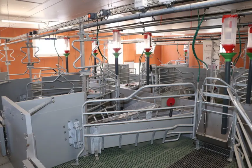 La maternité est composée d'une salle de 44 places avec des cases liberté de 7 m2.