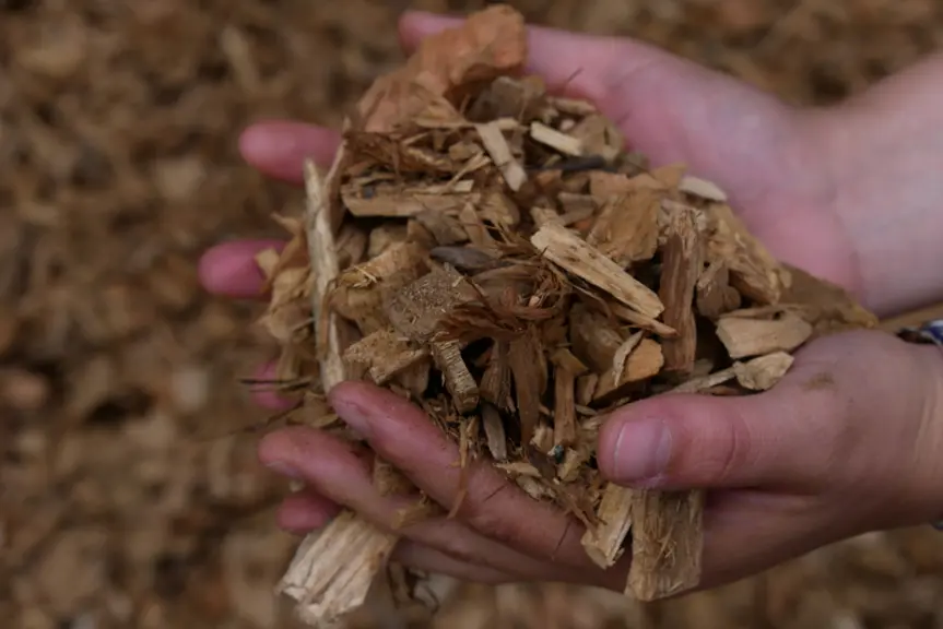 La chaudière est alimentée en plaquettes de bois de calibre G 50 (5 cm2 de section) avec un taux d’humidité inférieur à 20%.