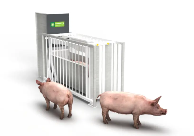 [Spécial Space] Onze nouveautés porc primées Innov’Space