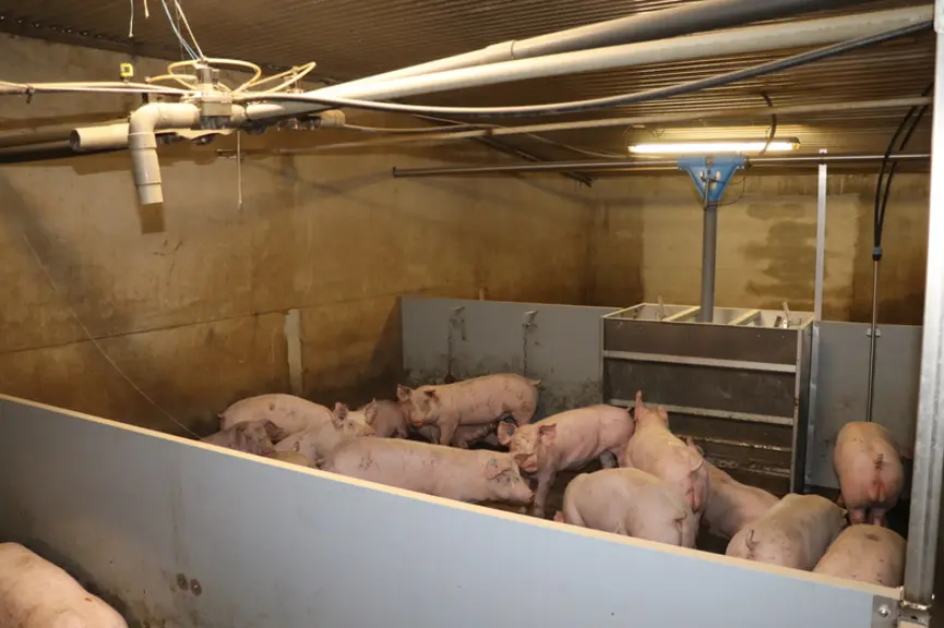 Steven Le Hir a fait le choix de passer à une alimentation à sec.