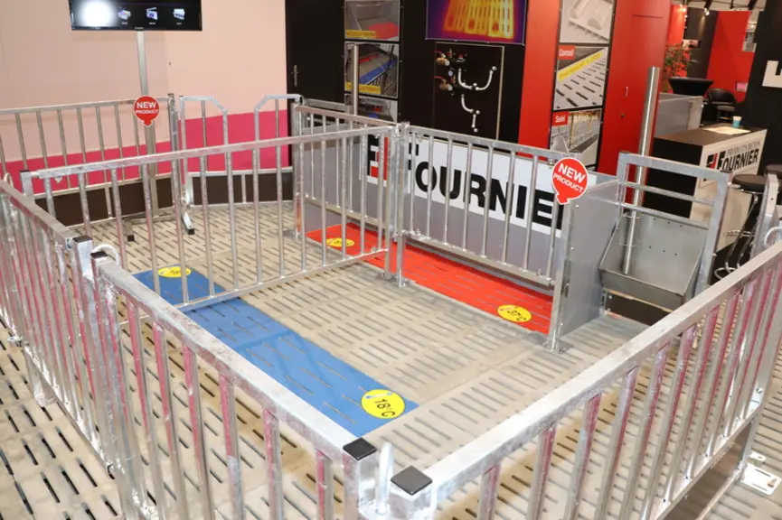 Fournier : Une case de maternité pour truies simplifiée