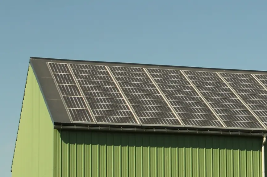 L’autoconsommation photovoltaïque reste rentable en élevage de porc