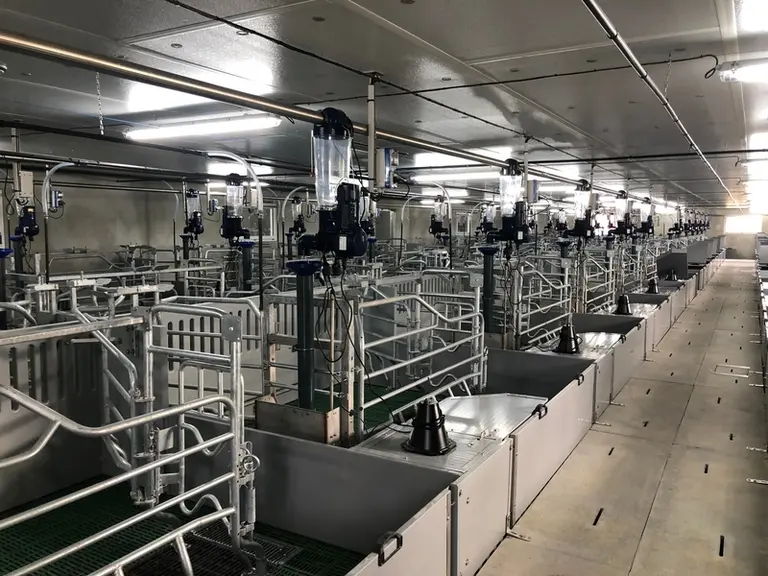 La nouvelle maternité de la SARL Kerambriquen compte deux salles de 48 places en ventilation centralisée. Dans chaque salle, le confort de travail a é