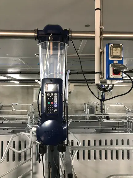 Chaque case maternité est équipée du système d’alimentation à sec individualisé Gestal Quattro (RV Biotech) qui a la particularité de réguler aussi le